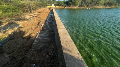 Pashan Lake located in western part was originally built to provide drinking water to the viceroy’s bungalow which is now the Savitribai Phule Pune University (SPPU) campus. The Pashan Lake is now covered in hyacinth. (Kalpesh Nukte/HT PHOTO)