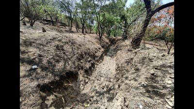 To prevent flooding during monsoon, PMC has begun digging trenches at the foothills of Hanuman tekdi behind Fergusson College. (Rahul Raut/HT PHOTO) To prevent flooding during monsoon, PMC has begun digging trenches at the foothills of Hanuman tekdi behind Fergusson College. (Rahul Raut/HT PHOTO)