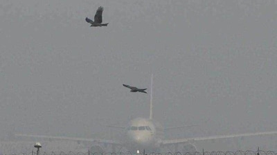 The A320 aircraft has a maximum capacity of upto 180 passengers. (Pic for representation) (HT photo)