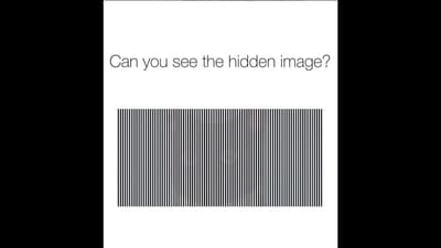Viral Optical Illusion: This picture has a hidden animal. Can you see it? (Instagram/@opticalillusionss)
