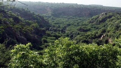 If farmers are to be protected against erratic rains, and slum dwellers in India’s poorly designed cities against torrid heat waves, efforts to conserve forests and other natural resources must be redoubled (HT File) If farmers are to be protected against erratic rains, and slum dwellers in India’s poorly designed cities against torrid heat waves, efforts to conserve forests and other natural resources must be redoubled (HT File)