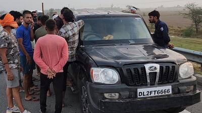Gurugram, India-May 29, 2023: Gurugram Police seized an especially modified Scorpio fixed with “Police” logo, siren and guards of heavy iron sheet stuffed with four tied cows from KMP Expressway on Tuesday which were allegedly being smuggled to Nuh for slaughtering after being stolen from Sohna, in Gurugram, India, on Monday, 29 May 2023. (Photo by Parveen Kumar/Hindustan Times)(Pic to go with Debashish Karmakar's story)