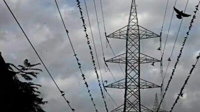 Around eight people were working at the site without safety gear or switching off the election connection, claim eyewitnesses. (HT PHOTO)
