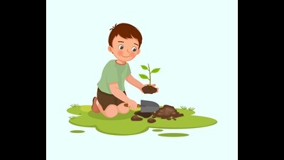 The students have also been asked to collect seeds and plant them around their house. (Shutterstock) The students have also been asked to collect seeds and plant them around their house. (Shutterstock)