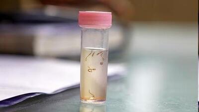 Water samples recovered from eight schools in Ludhiana failed a quality test. (HT File) Water samples recovered from eight schools in Ludhiana failed a quality test. (HT File)