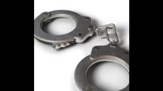 Gangster, 2 aides held with pistol, weapons in Amritsar