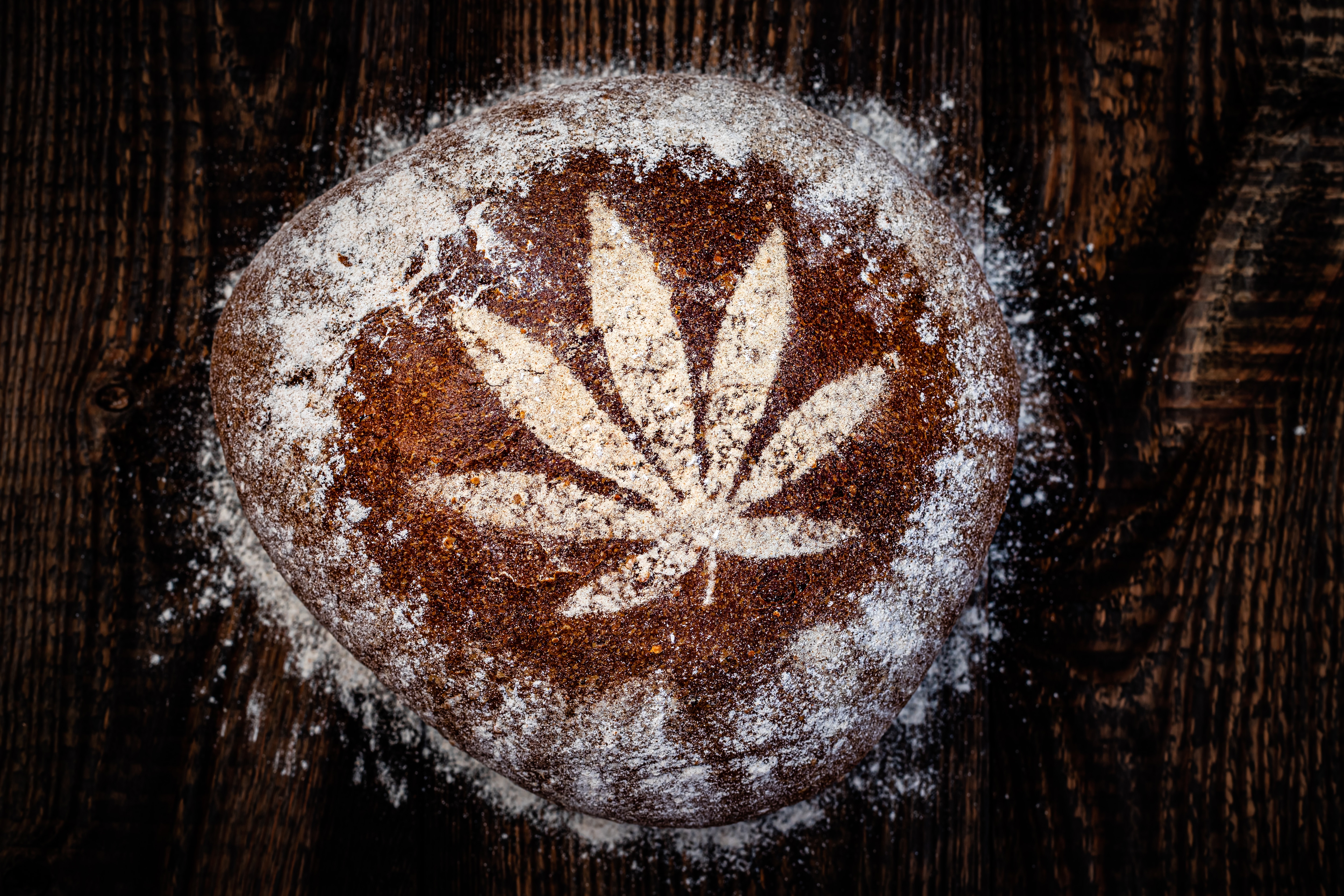 Hemp flour bread (Photo: Shutterstock) Hemp flour bread (Photo: Shutterstock)