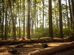 subhadeep-dishant-GsrY3FMaUqI-unsplash