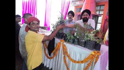 A bhandara near Alambagh distributed plants on the concluding Bada Mangal. (HT Photo) A bhandara near Alambagh distributed plants on the concluding Bada Mangal. (HT Photo)
