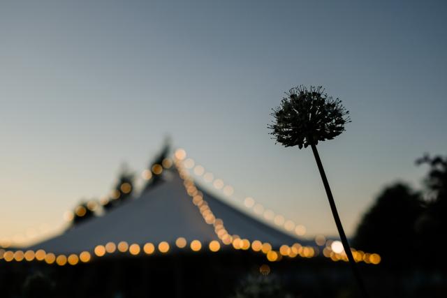 The large tented village that hosts many events as part of the festival. (Courtesy Hay Festival) The large tented village that hosts many events as part of the festival. (Courtesy Hay Festival)