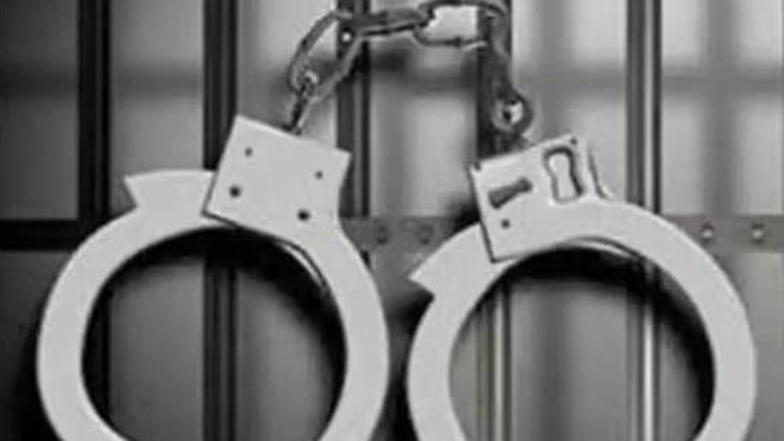12 Myanmar breed cattle seized in Tripura; 3 held for smuggling