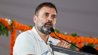 Rahul Gandhi. (Congress twitter)
