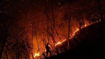 Another significant factor that contributed to the reduction in incidents of forest fires was unseasonal rainfall. (REPRESENTATIVE PHOTO) Another significant factor that contributed to the reduction in incidents of forest fires was unseasonal rainfall. (REPRESENTATIVE PHOTO)