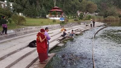 Hundreds of fish have perished over the past five days in Rewalsar Lake, a sacred natural lake, in Mandi district of Himachal Pradesh. (HT Photo)