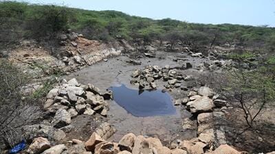 The leachate pond near the Bandhwari landfill. (Parveen Kumar/HT Photo) The leachate pond near the Bandhwari landfill. (Parveen Kumar/HT Photo)