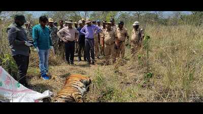 The post-mortem examination revealed “puncture wound in the trachea” of the big cat to be the cause of death. (Sourced)