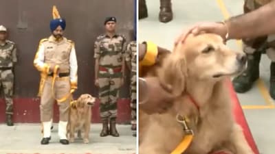 The image shows a CISF sniffer dog who retired. (Twitter/@ANI) The image shows a CISF sniffer dog who retired. (Twitter/@ANI)