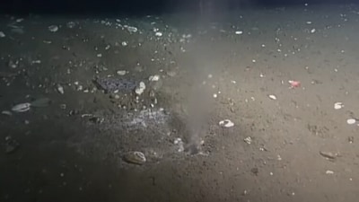 The liquid emanating from the leak was discovered to be ‘tectonic lubricant’ (University of Washington) The liquid emanating from the leak was discovered to be ‘tectonic lubricant’ (University of Washington)