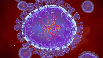 Human metapneumovirus is an infection that affects the upper and lower respiratory tract.