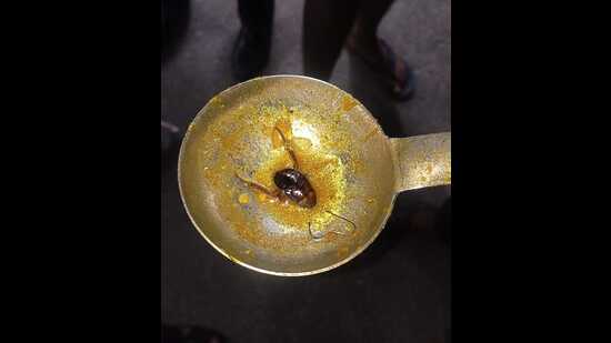 A cockroach in serving spoon at Law hostel of LU (Sourced)