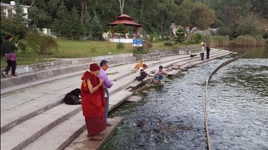 Hundreds of fish have perished over the past five days in Rewalsar Lake, a sacred natural lake, in Mandi district of Himachal Pradesh. (HT Photo)