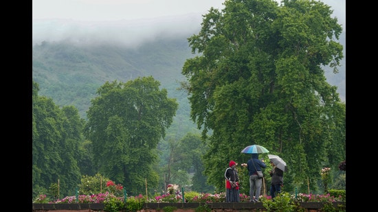People visit the Mughal Garden during rainfall in Srinagar on Wednesday.Temperature dipped after rain in Kashmir. (PTI)