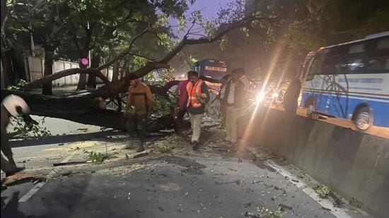 The residents of the state capital woke up to flooded underpasses and uprooted trees in several areas on Wednesday (HT Photo)