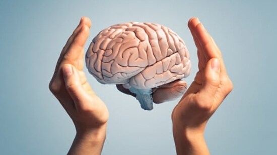 Brain health: Some research suggests that regular consumption of olive oil may have a protective effect on cognitive function and reduce the risk of neurodegenerative diseases such as Alzheimer's and Parkinson's. The antioxidants and anti-inflammatory compounds in olive oil may help combat oxidative stress and inflammation in the brain.(Unsplash)