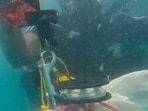 A video posted by ANI showed the diving operations where Indian Coast Guard personnel could be seen going underwater with a knife. 