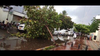 A tree fell near Srishti Chowk in Pimpal Gurav due to sudden unseasonal rain on Thursday. (HT PHOTO) A tree fell near Srishti Chowk in Pimpal Gurav due to sudden unseasonal rain on Thursday. (HT PHOTO)