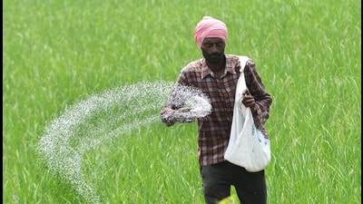 Fertilisers and Pesticides Dealers Association, Moga, has given a written complaint to the agriculture department claiming that despite directions by the agriculture department, all the companies are supplying other products by tagging them with DAP and urea fertilisers. (HT File) Fertilisers and Pesticides Dealers Association, Moga, has given a written complaint to the agriculture department claiming that despite directions by the agriculture department, all the companies are supplying other products by tagging them with DAP and urea fertilisers. (HT File)