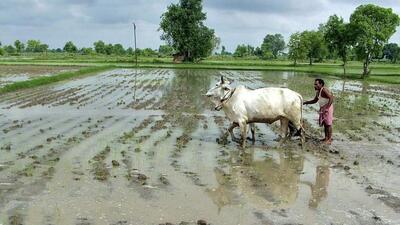 The monsoon covers the entire country by July 5 . (REUTERS)