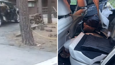 The image shows the bear getting out of a car. (Twitter/@WashoeSheriff) The image shows the bear getting out of a car. (Twitter/@WashoeSheriff)