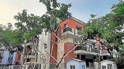 The step by the town planning department was taken after there was a decrease in the proportion of the greenery area to the construction area in big cities like Jaipur. (File) The step by the town planning department was taken after there was a decrease in the proportion of the greenery area to the construction area in big cities like Jaipur. (File)