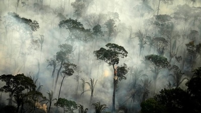 To save the rainforest, Brazil’s new government is trying to catch the criminals who cut it down (REUTERS ) To save the rainforest, Brazil’s new government is trying to catch the criminals who cut it down (REUTERS )