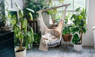With a few simple design and decor tweaks, you can infuse your space with a laid-back, breezy vibe that evokes the feeling of being on a tropical getaway. (Freepik) With a few simple design and decor tweaks, you can infuse your space with a laid-back, breezy vibe that evokes the feeling of being on a tropical getaway. (Freepik)