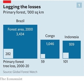 Logging the losses (The Economist) Logging the losses (The Economist)