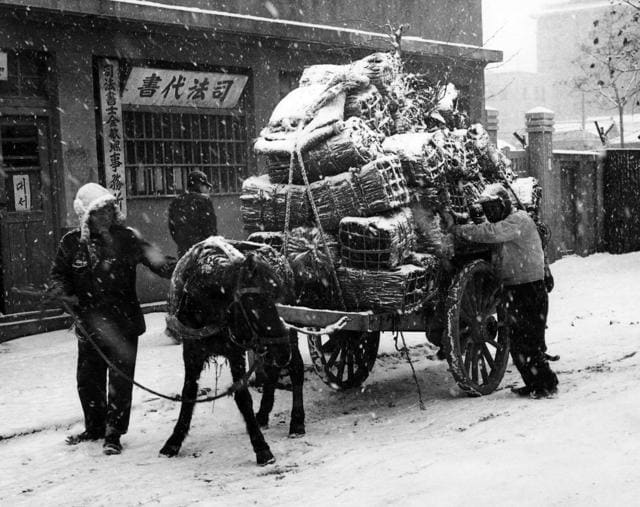 People loading a cart with their belongings before fleeing Seoul, Korea, in 1950. (Shutterstock)