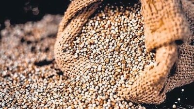 Indian women are showing the way forward on nutrition and food security, for India and the world (Representative Image) Indian women are showing the way forward on nutrition and food security, for India and the world (Representative Image)