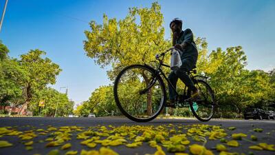 Amaltas seen in full bloom at Khan Market in New Delhi on Friday. (Sanchit Khanna/HT) Amaltas seen in full bloom at Khan Market in New Delhi on Friday. (Sanchit Khanna/HT)