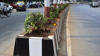 Officials of the authority’s horticulture department said that the outsourcing process and modalities will be finalised within this month. (Representational Image) Officials of the authority’s horticulture department said that the outsourcing process and modalities will be finalised within this month. (Representational Image)
