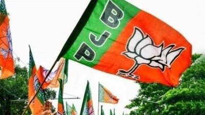 Whether the Bharatiya Janata Party (BJP) wins a third consecutive term will depend a lot on the economic perception of voters (File)