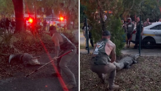 The image shows a man and an alligator. (Instagram/@bluecollar_brawler)