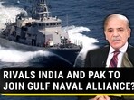RIVALS INDIA AND PAK TO JOIN GULF NAVAL ALLIANCE?