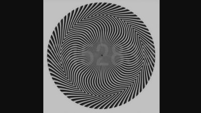 Viral optical illusion: What do you think is the correct answer? (Twitter/@benonwine)