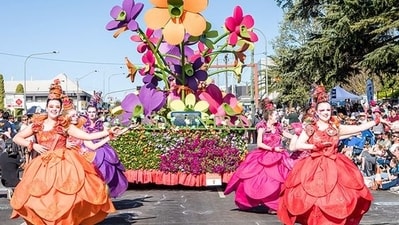 Hakka Tung Blossom Festival: Taking place in Taiwan's Miaoli County, the Hakka Tung Blossom Festival celebrates the blooming of tung trees, which produce edible tung nuts. The festival features cultural performances, lantern displays, and activities such as tung nut picking and oil pressing, highlighting the connection between nature, culture, and traditional practices.&nbsp; (Pinterest)