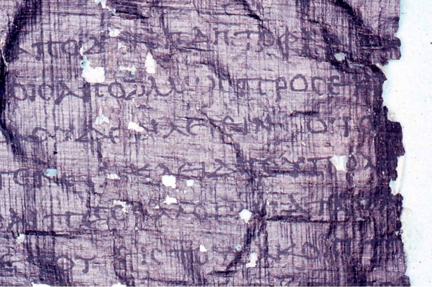 One of the fragments from the underground library at Villa dei Papyri. (Image courtesy Richard Janko)