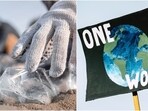This year, the theme of World Environment Day will focus on solutions to plastic pollution under the campaign #BeatPlasticPollution. This year, the theme of World Environment Day will focus on solutions to plastic pollution under the campaign #BeatPlasticPollution.