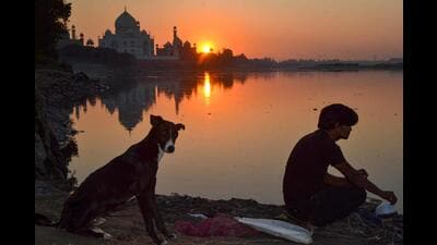 Environmentalists have stressed time and again that for long life of Taj Mahal, there is need for water in river Yamuna to keep the foundation of the monument moist, say activists. (Pic for representation) Environmentalists have stressed time and again that for long life of Taj Mahal, there is need for water in river Yamuna to keep the foundation of the monument moist, say activists. (Pic for representation)