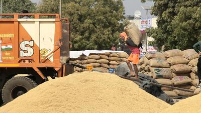 The country now has 31.2 million tonne of wheat and 26.7 million tonne of rice. (HT)